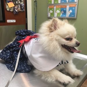 Meet your Posher, Debbie